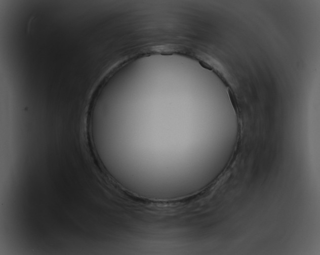 X0000096980297200802080905