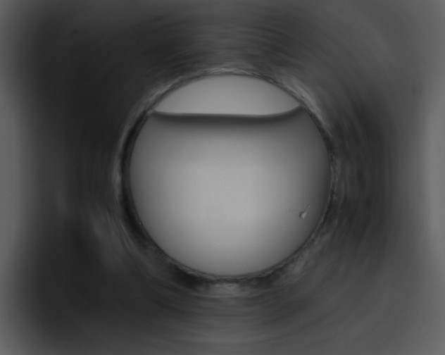 X0000096980298200802080905
