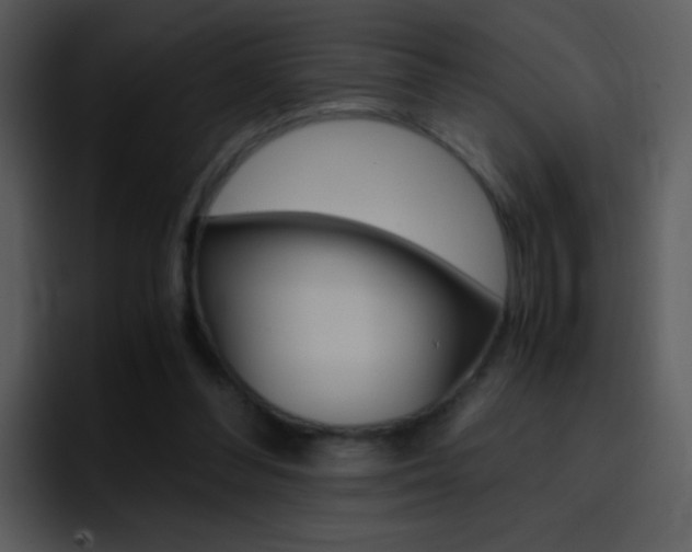 X0000096980300200802080905