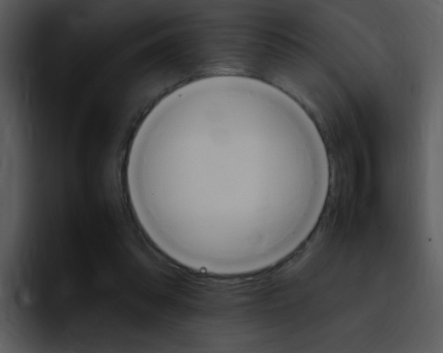 X0000096980302200802080905