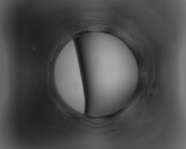 X0000096980303200802080904