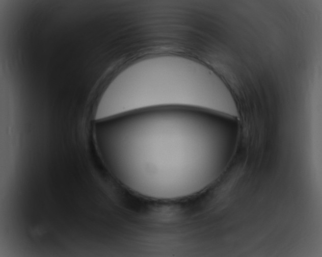 X0000096980304200802080904