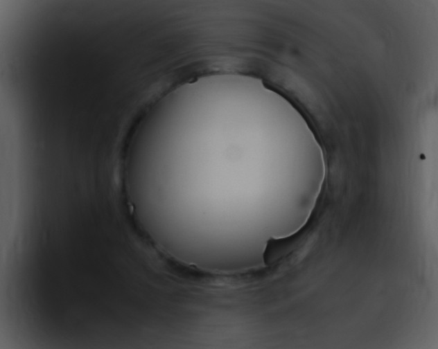 X0000096980305200802080904
