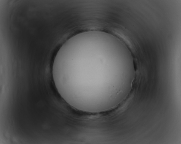 X0000096980306200802080904
