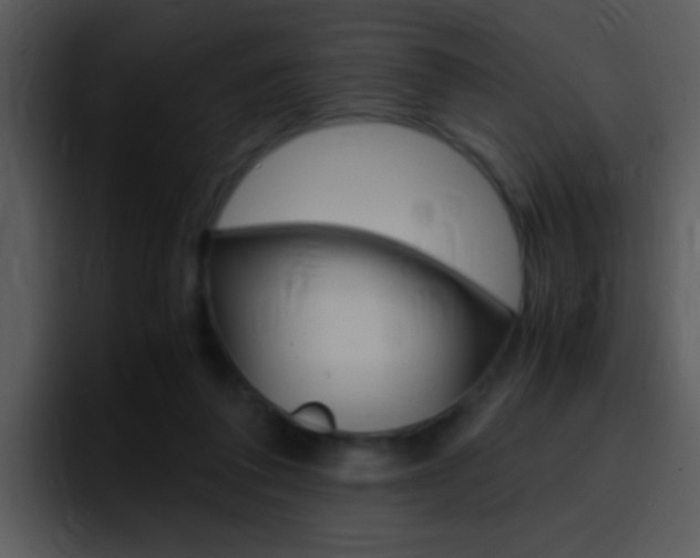 X0000096980308200802080904
