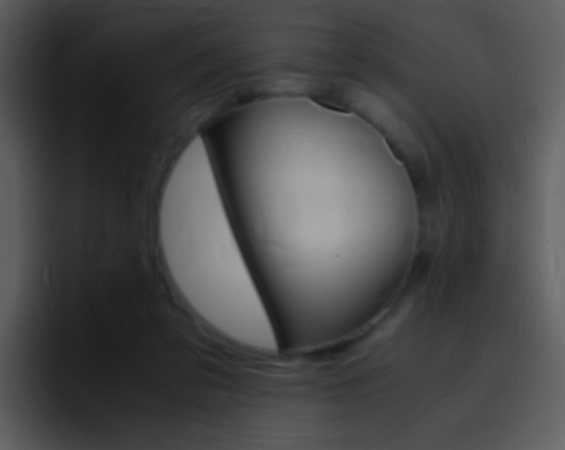 X0000096980309200802080904
