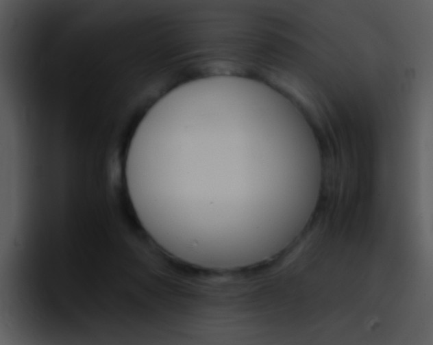 X0000096980310200802080904