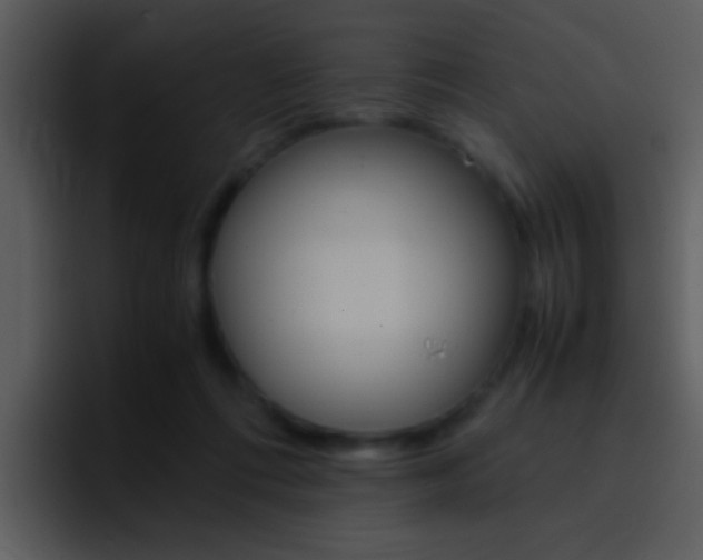 X0000096980312200802080904