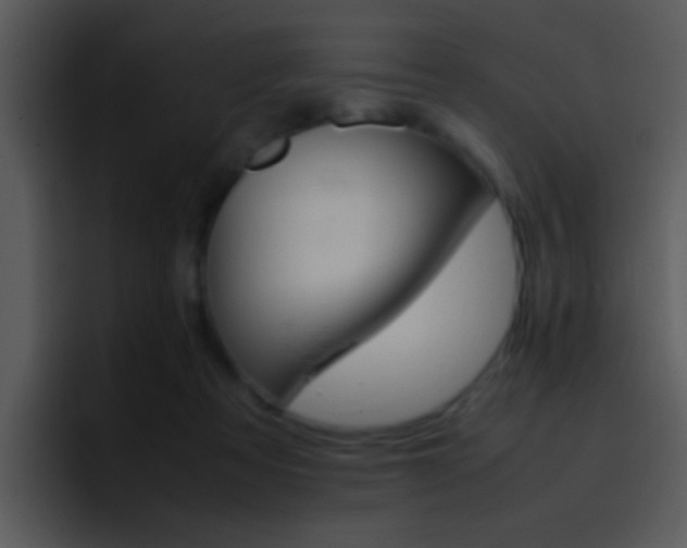 X0000096980313200802080904