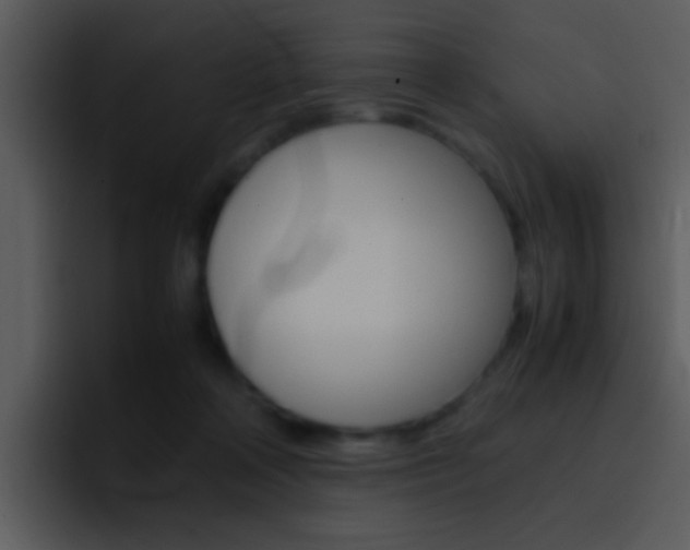X0000096980314200802080904