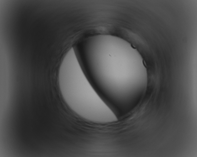 X0000096980317200802080904