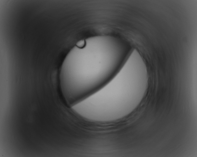 X0000096980319200802080904