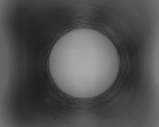 X0000096980320200802080904