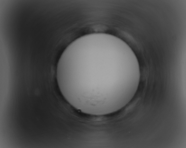 X0000096980321200802080904