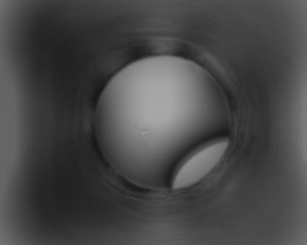X0000096980325200802080904