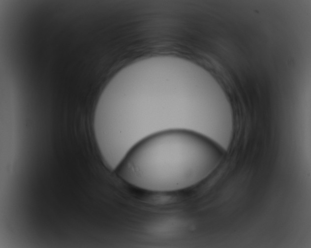 X0000096980326200802080904