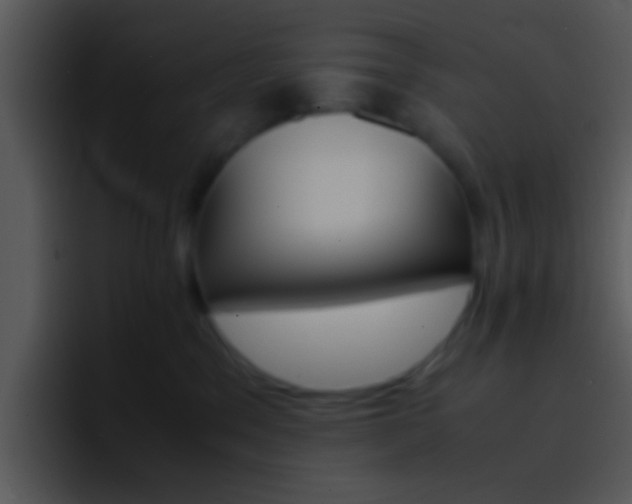 X0000096980329200802080904
