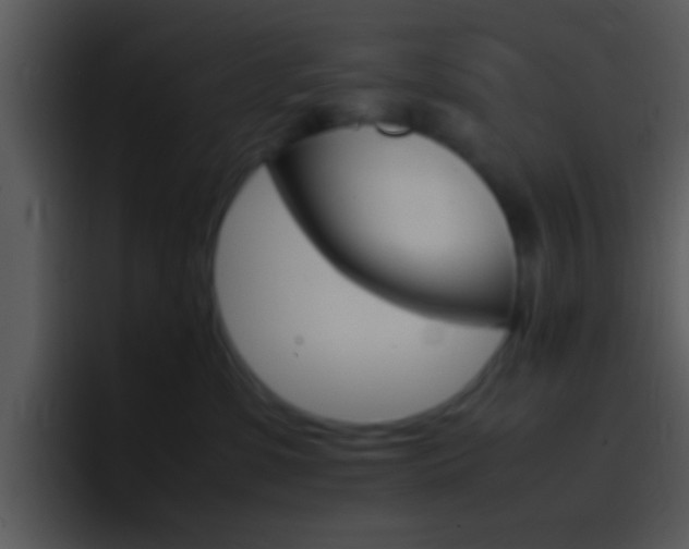 X0000096980331200802080904