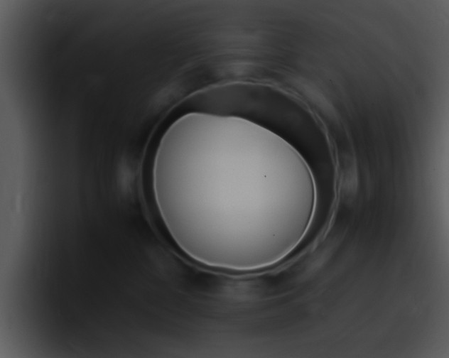 X0000096980332200802080904