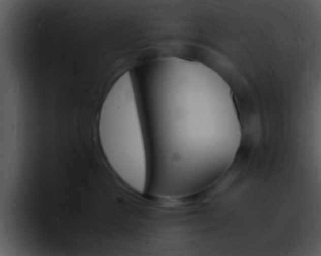 X0000096980333200802080904