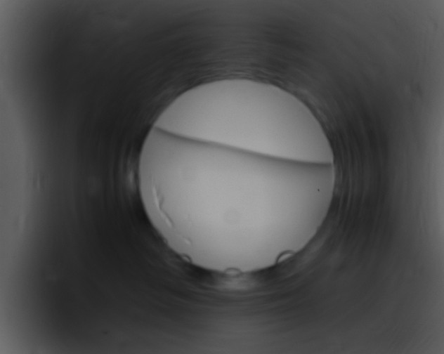 X0000096980334200802080904