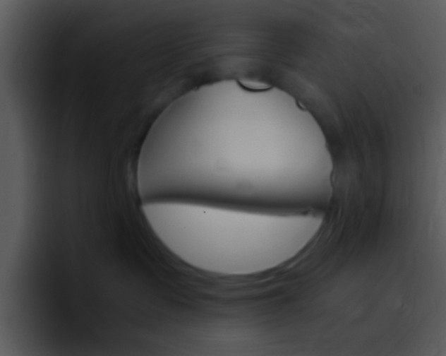 X0000096980335200802080904