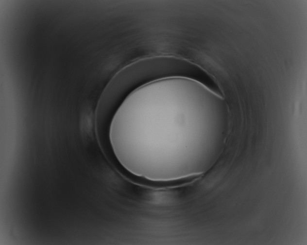 X0000096980336200802080904