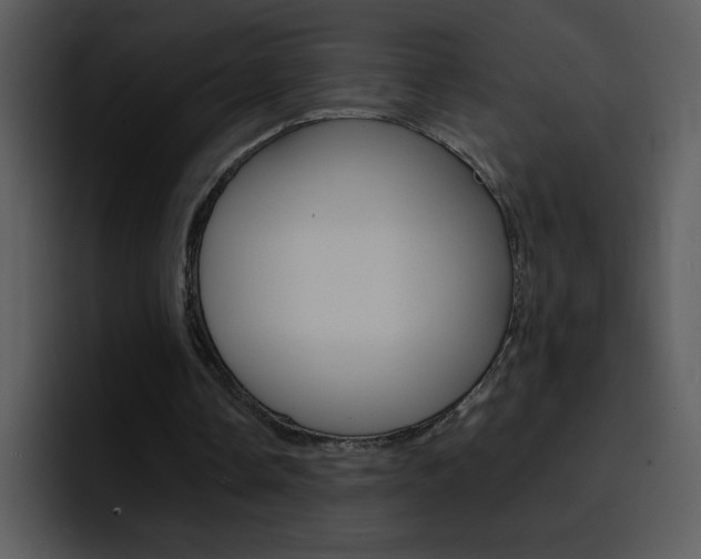 X0000096980338200802080903