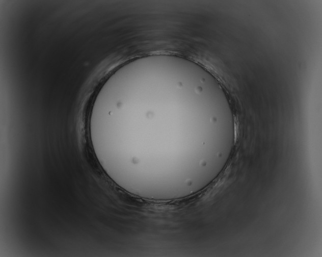 X0000096980339200802080903