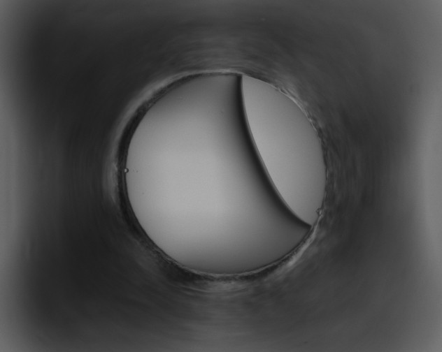 X0000096980342200802080904