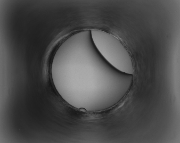 X0000096980343200802080904