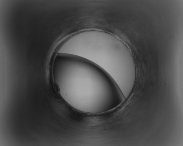 X0000096980344200802080904