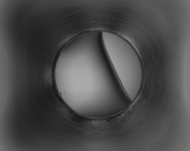 X0000096980345200802080904