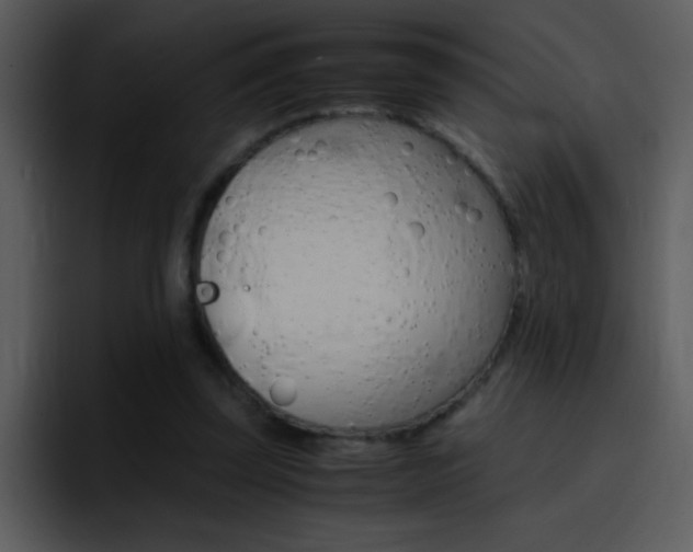 X0000096980347200802080904