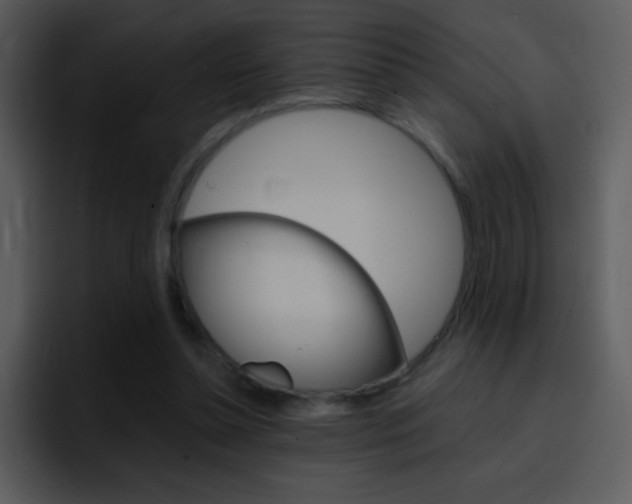 X0000096980348200802080904