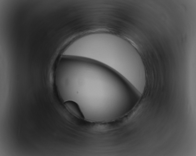 X0000096980350200802080904