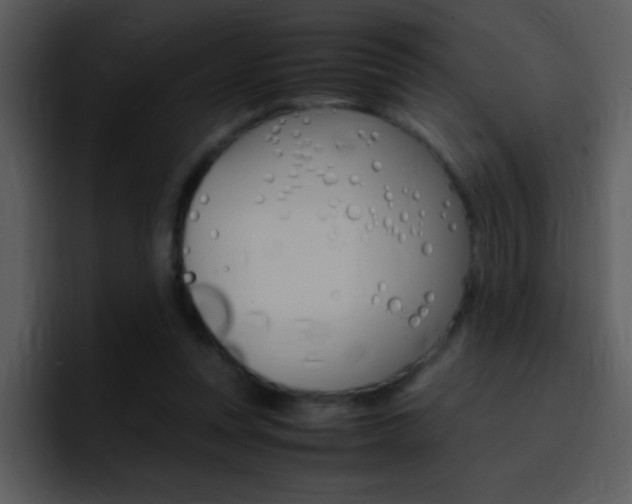 X0000096980351200802080904