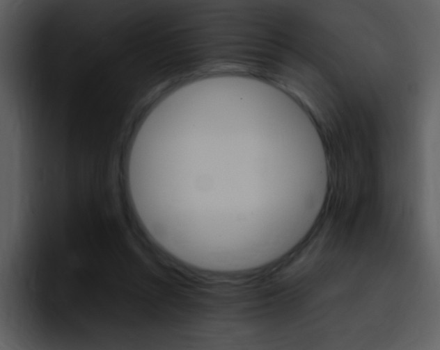 X0000096980352200802080904