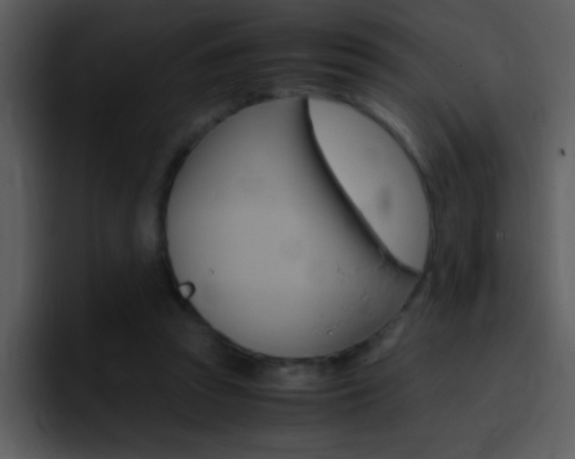 X0000096980353200802080904