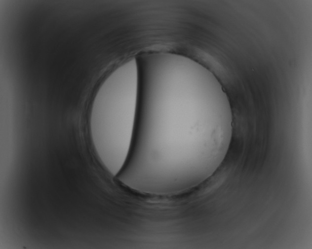 X0000096980354200802080904