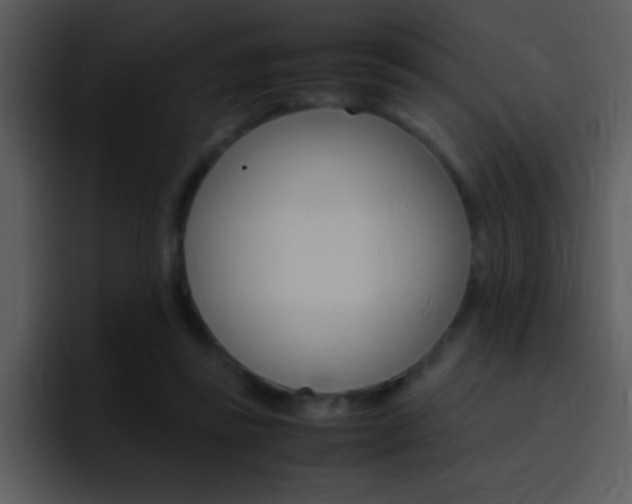 X0000096980355200802080904