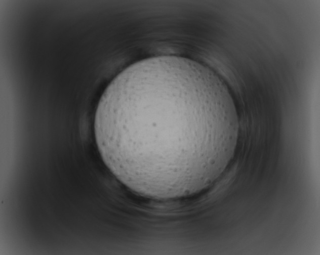 X0000096980359200802080904