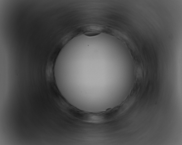 X0000096980360200802080904