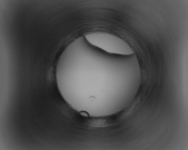 X0000096980361200802080904