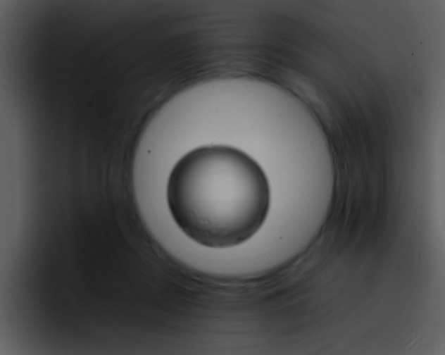 X0000096980362200802080904
