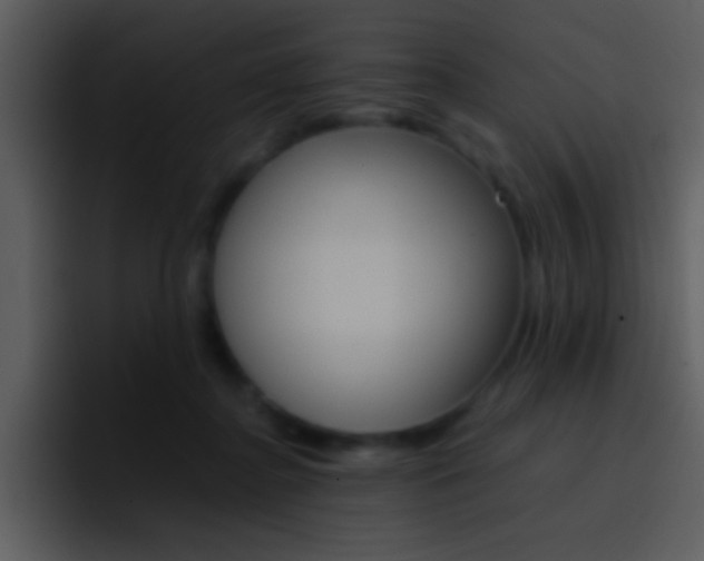 X0000096980364200802080904