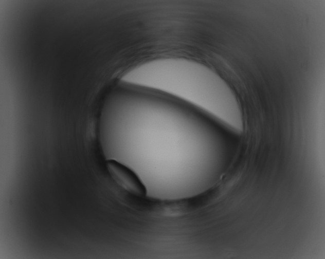 X0000096980368200802080904