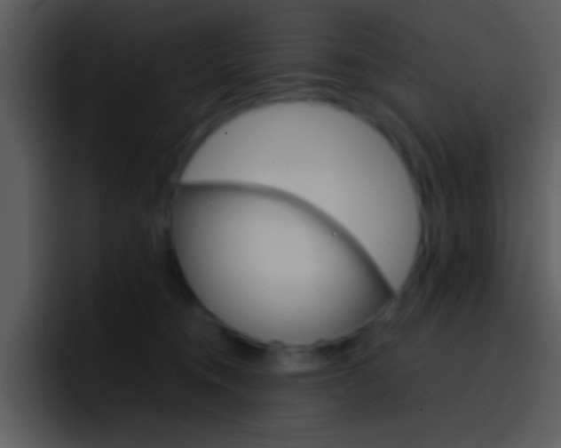 X0000096980372200802080904