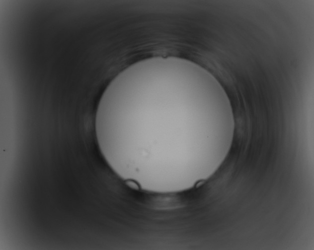 X0000096980375200802080904