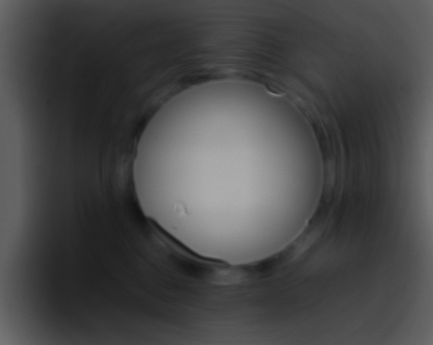 X0000096980376200802080904
